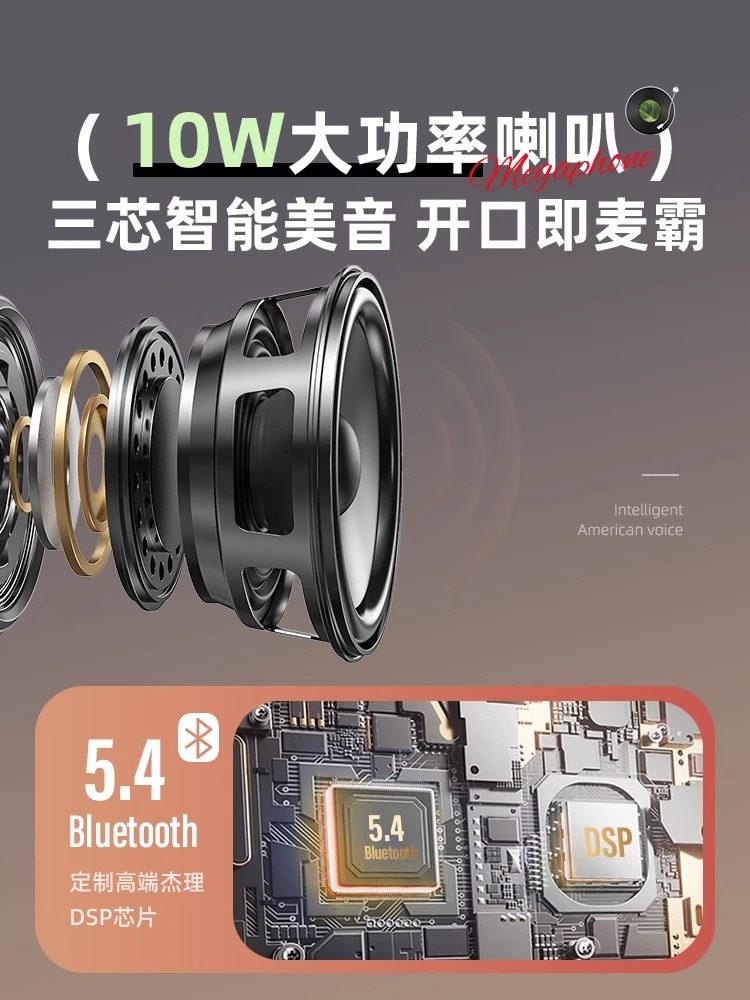 Wireless Bluetooth Speaker with Microphone All-In-One Home Karaoke Floating Lyrics Small Speaker Ktv2025 New Model