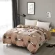 Coral quilt bao gồm một mảnh flannel mui xe hai mặt lông cừu nhung dày sang trọng cashmere mùa đông phụ nữ duy nhất đôi