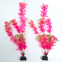 A bespoke building with a view of a fake water grass 2