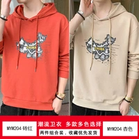 MyW204 Brick Red+MyW204 Abricot Color