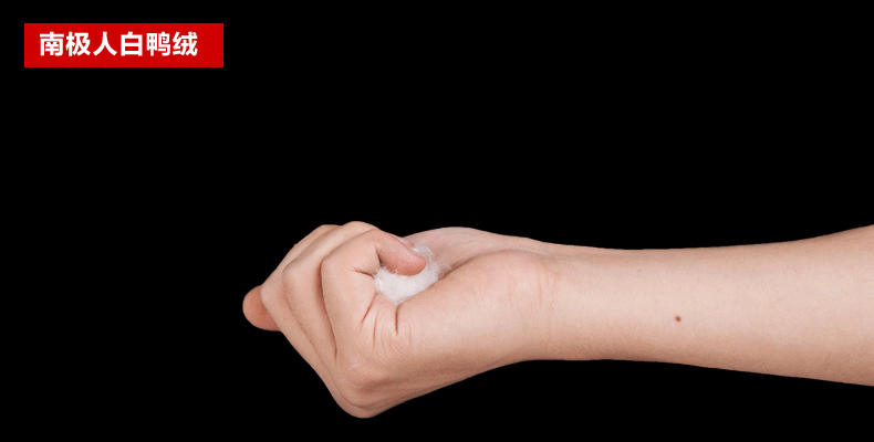 Blouson homme en Nylon - Ref 3121101 Image 11