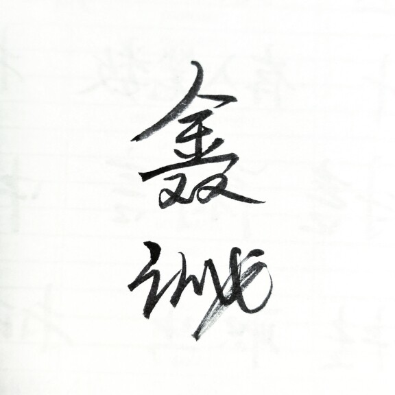 鑫诚日用严选