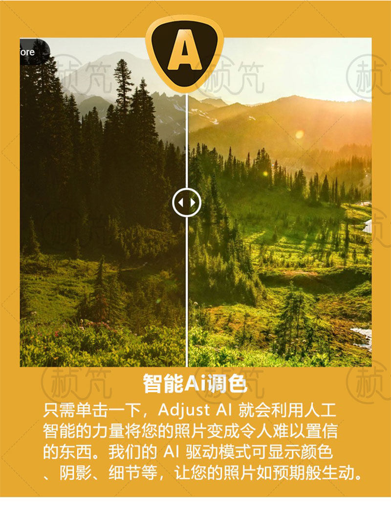 Topaz AI全家桶 视频图片变清晰AI智能调色锐化无损放大降噪修复-天天素材网