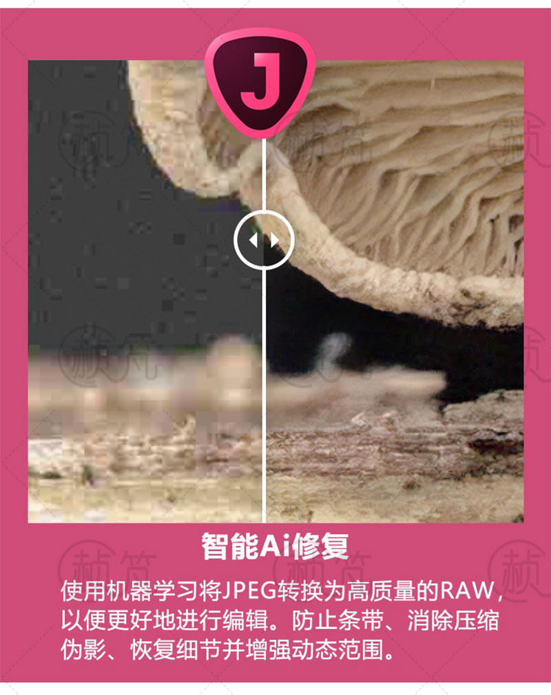 Topaz AI全家桶 视频图片变清晰AI智能调色锐化无损放大降噪修复