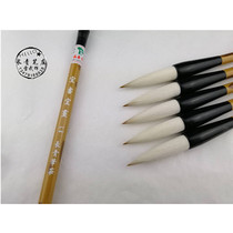 Evergreen bi zhuang lei wu hui yi books should be painted is large jian hao brush is large regular script running script zhuan official script couplet brush