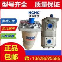 Changyuan CBNL-F563 F550 F540 F532 F520 F516 F510 F525-BFHL gear pump