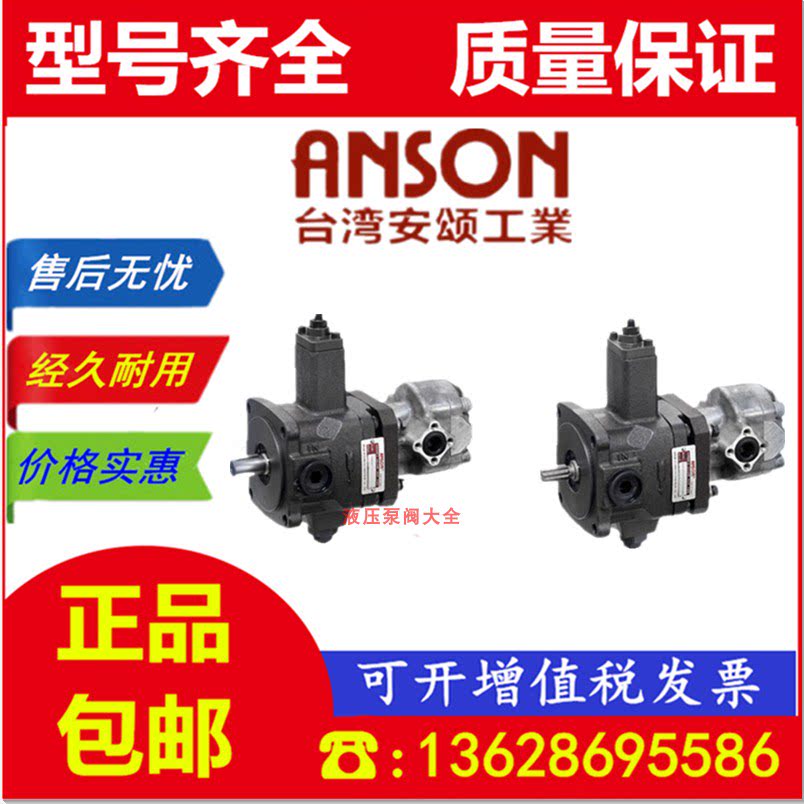 Taiwan ANSON Anson TPF-VL402-GH6-10 VL401 GH7 GH8 GH9 10S Variable Pump