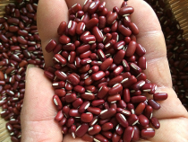 New red bean Red bean farmers own red red bean non-red bean 250g long grain red bean grain