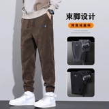 Мужские зимние спортивные демисезонные утепленные вельветовые штаны для отдыха