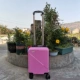 Pink [Lightning] Spring и Awumn Airlines