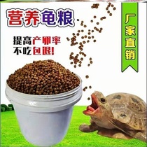 Small turtle feed general freshwater food turtle Grain bulk small package turtle food food Brazil