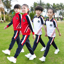 Primary school students spring and autumn suit new 2020 cotton teacher sports suit childrens class suit Kindergarten autumn garden suit