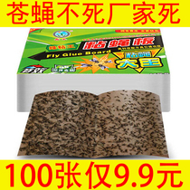Fly Sticker Drosophila Paper Powerful Sticky Fly Board Killer FLY Fly Mosquito Killers Fly Mosquito catcher Home One sweep of light