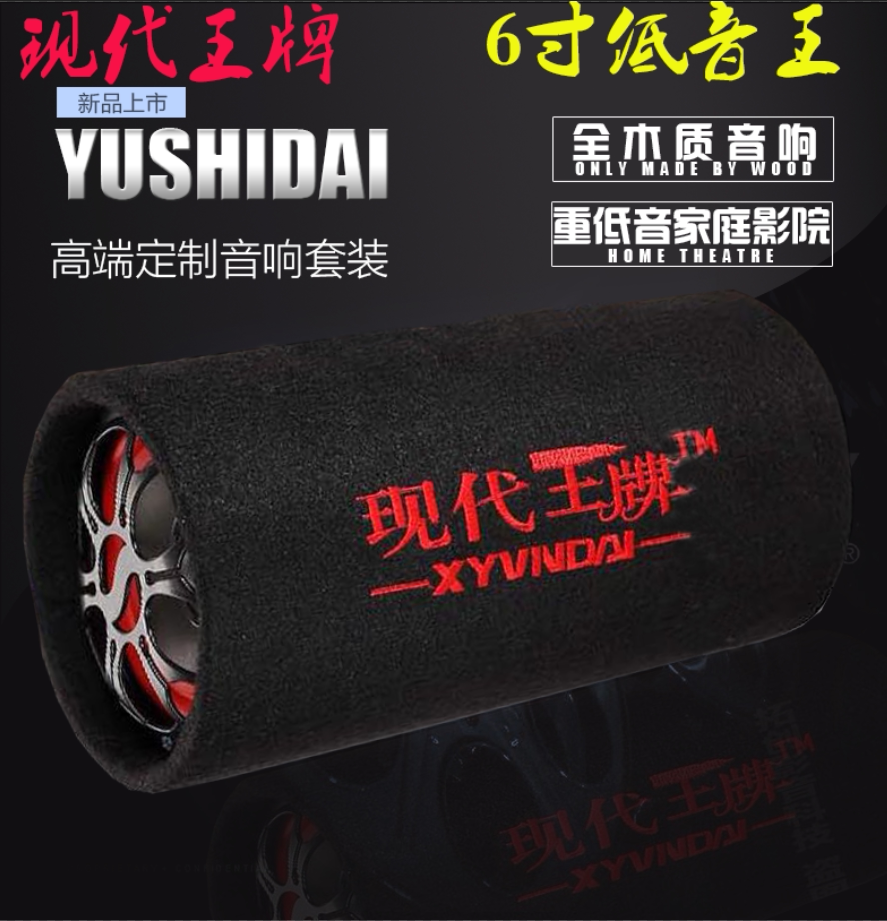 Hyundai ace 6 inch round 12V24V220V car audio subwoofer active home card computer speaker