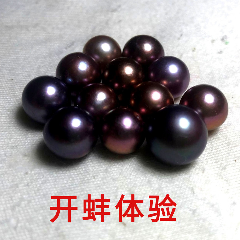 开蚌成品定制直播间