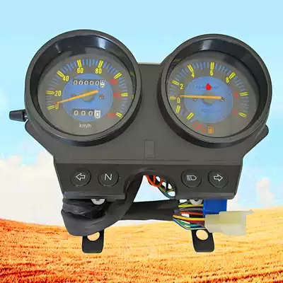 Applicable Locomotive Parts HJ125-7F-7D HJ150-3A-3C Silver Leopard Instrument Assembly Code Meter Shell