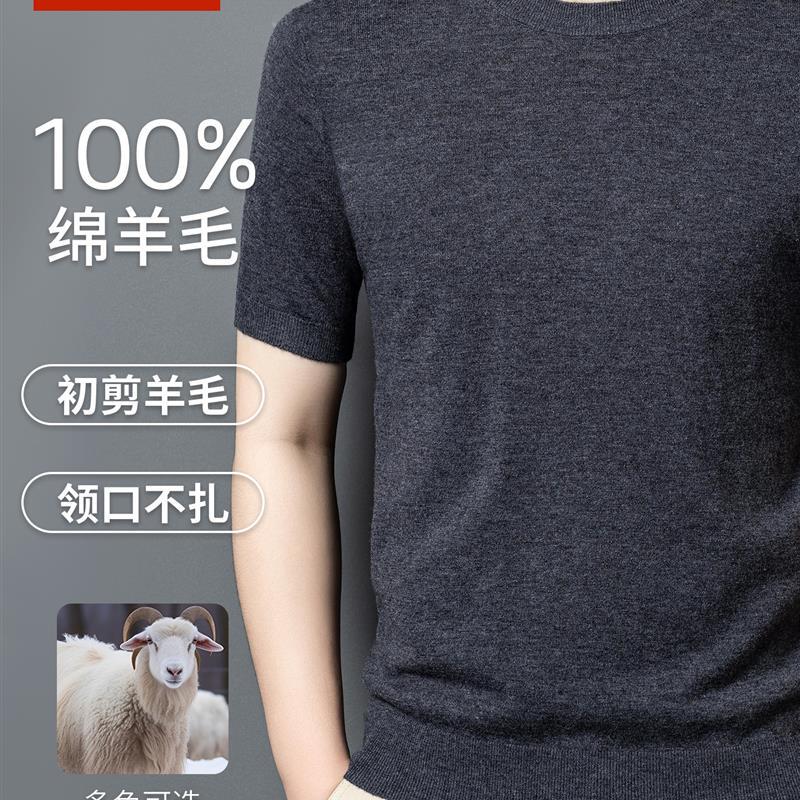 Hengyuanxiang Genuine 100% Pure Wool Sweater Men's Short-Sleeved Round Neck Knitted Pullover Base Shirt Top Solid Color T-Shirt