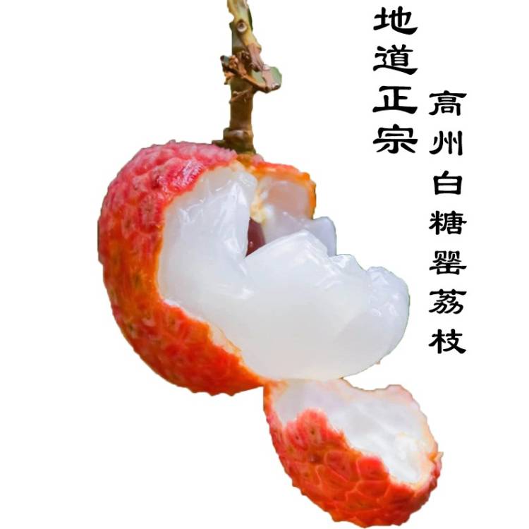 林林鲜果园的LOGO