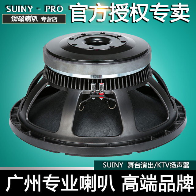 1000 watt speaker 18 inch