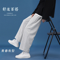 Ankle-length pants male spring and autumn Korean trend straight loose pants Joker knitted pants solid color Ruffian sports pants
