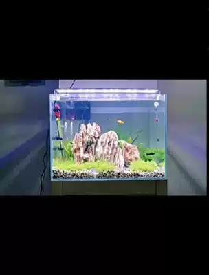 Fish tank energy-saving lamp led special lighting turtle landscaping aquatic lantern small and medium aquarium light stand Xinjiang