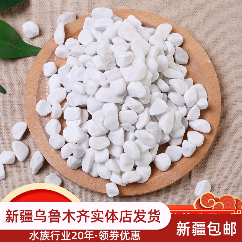 Baishizi courtyard landscape paving paving large pebble fish tank landscaping succulent potted decoration white small stones