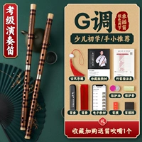 G Тон [два секции] <Refine> коричневая пакетная сумка