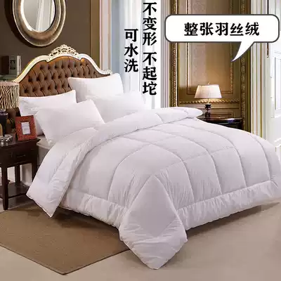 Hotel hotel air conditioning summer quilt spring and autumn thickened winter quilt quilt quilt winter quilt