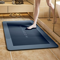 Diatom Mud Sursction Water Pad Doage Dail Diatom