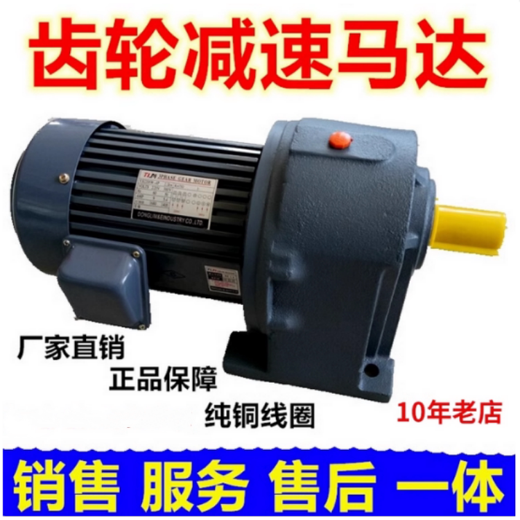 Dongli Gear Reduction Motor 380V220V0.4 0.75 1.1 1.5 2.2 3Kw Variable Frequency Speed Regulating Motor Dongli Gear Reduction Motor 380V220V0.4 0.75 1.1 1.5 2.2 3Kw Variable Frequency Speed Regulating Motor