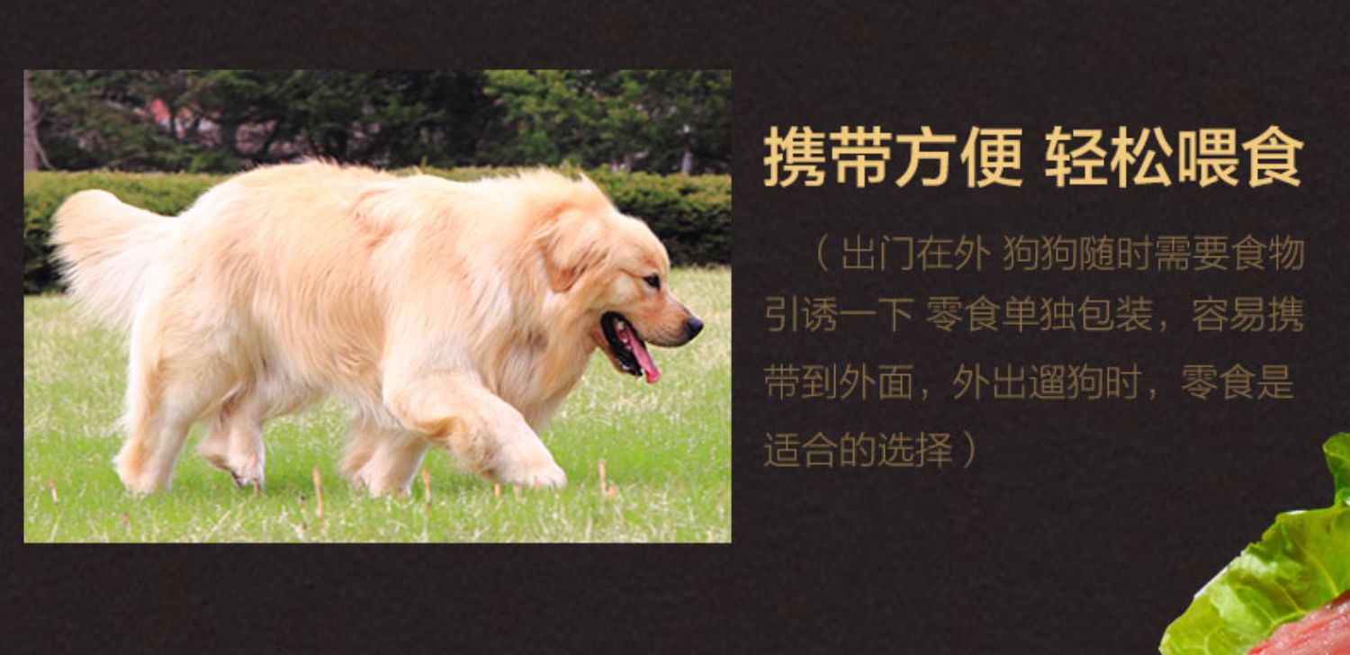 Chó ăn vặt dải thịt bò canxi cao đặc điểm teddy lông vàng đào tạo thưởng canxi vật nuôi đồ ăn nhẹ con chó con gậy mol - Đồ ăn vặt cho chó hạt cho chó con