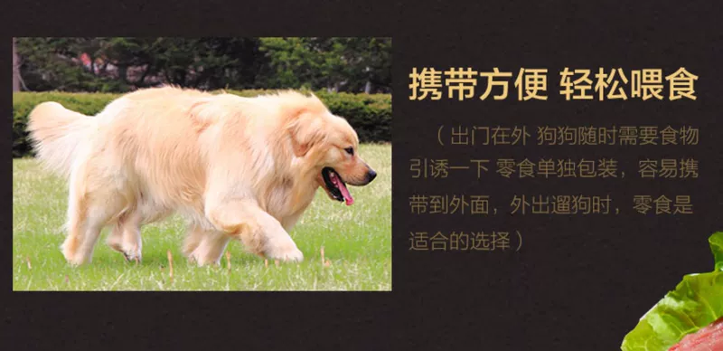 Chó ăn vặt dải thịt bò canxi cao đặc điểm teddy lông vàng đào tạo thưởng canxi vật nuôi đồ ăn nhẹ con chó con gậy mol - Đồ ăn vặt cho chó thức ăn royal canin