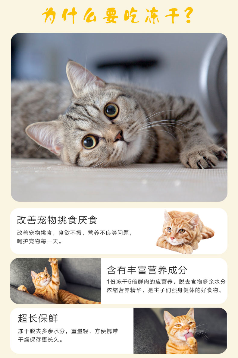 Cat Snacks Gà đông khô Gà dinh dưỡng Gà ức gà Mèo Kẹp tóc Mèo Thức ăn vật nuôi Đồ ăn khô đông lạnh 50g-500g - Đồ ăn nhẹ cho mèo hạt meo