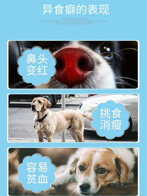 Chó mèo, nguyên tố vi lượng, vật nuôi, Golden Retriever, chó con, chống ăn kiêng, ăn, ăn, giun đất, 300 viên - Cat / Dog Health bổ sung sữa cho mèo con mới sinh