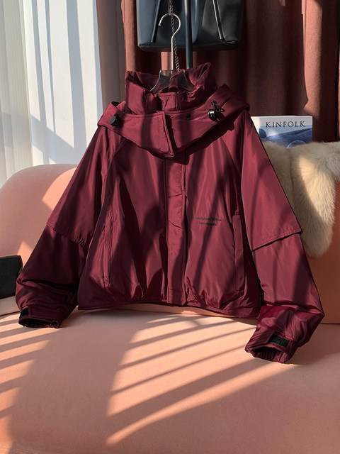 High-End Style Stand-Collar Short down Jacket for Women, 2024 Winter New Trendy White Duck down Coat