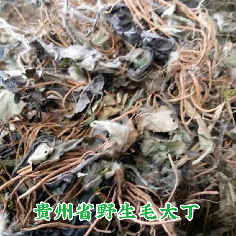 Maodalding 500g  Guizhou Province Miao Medicinal Rabbit Ear Wind Rabbit Ear Grass Bars Floor Fragrance One Pillar Fragrance