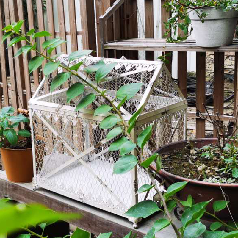 American Country Vintage Old Wrought iron Lace Mesh Greenhouse Gardening Bird cage ornaments Garden decorations Groceries