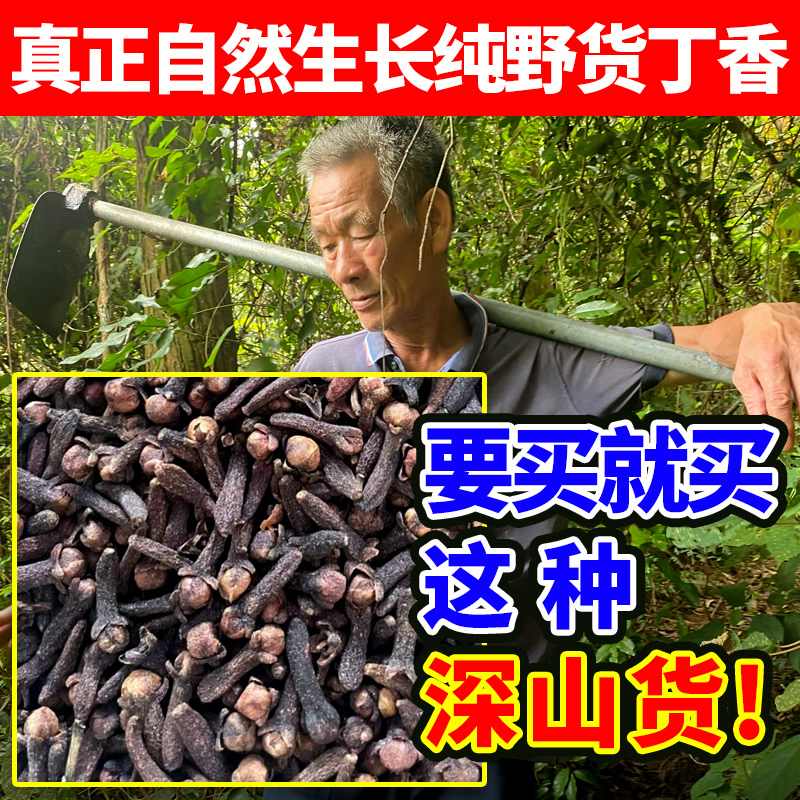 Grandpa Picked 500g of Pure Wild Clove from the Deep Mountains, a Chinese Medicinal Spice, Tangerine Peel Slices, Marinade, Clove Root, Star Anise