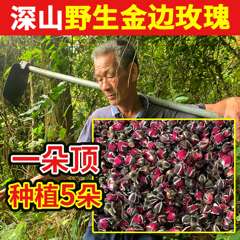 Grandpa's Deep Mountain Pure Wild Golden Edge Rose Tea 500g Dried Rose Pingyin Tea Bag Petals Edible Double-Petaled Grandpa's Deep Mountain Pure Wild Golden Edge Rose Tea 500g Dried Rose Pingyin Tea Bag Petals Edible Double-Petaled