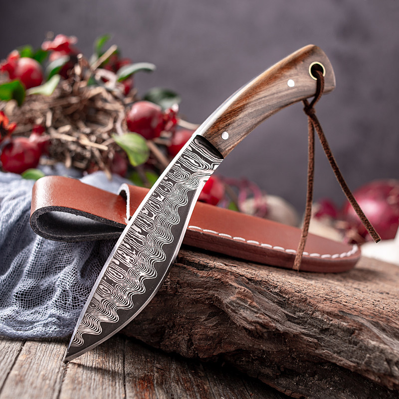 Mini small knife handlebar meat small knife water fruit knife with stainless steel outdoor gift cutter Multi-purpose knife pattern