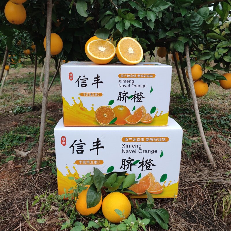 赣南脐橙信丰果农店