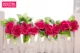Mô phỏng hoa hồng lá xanh trang trí mây giả hoa cây nho cưới hoa nho phòng khách mái nhà ống sưởi ấm - Hoa nhân tạo / Cây / Trái cây