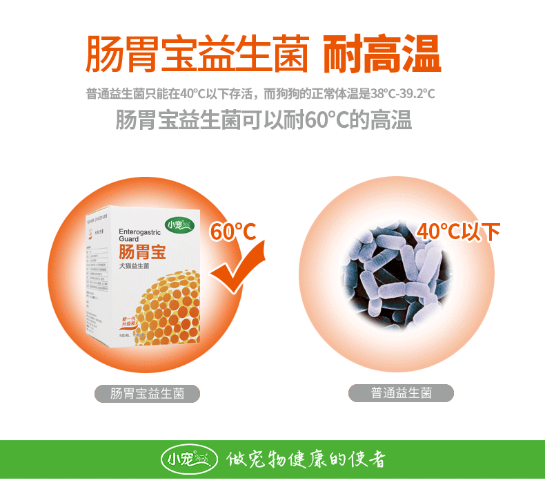 Bell gia đình nhỏ thú cưng men vi sinh điều hòa vật nuôi viêm dạ dày ruột tiêu chảy tiêu chảy chó mèo phổ 50g - Cat / Dog Health bổ sung sữa cho chó bầu 