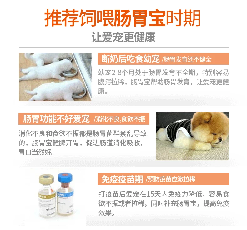 Bell gia đình nhỏ thú cưng men vi sinh điều hòa vật nuôi viêm dạ dày ruột tiêu chảy tiêu chảy chó mèo phổ 50g - Cat / Dog Health bổ sung