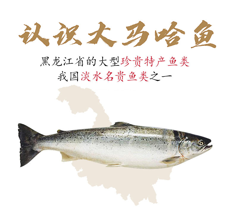 哈尔滨老字号 裕昌 果木香熏大马哈鱼 260g袋装 天猫优惠券折后￥32.9包邮（￥42.9-10）