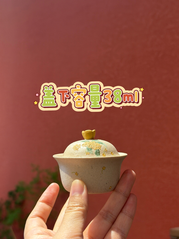 {You Are Very Precious} Mini Small Gaiwan, Hand-Painted with Clay, Made from White Jade Clay