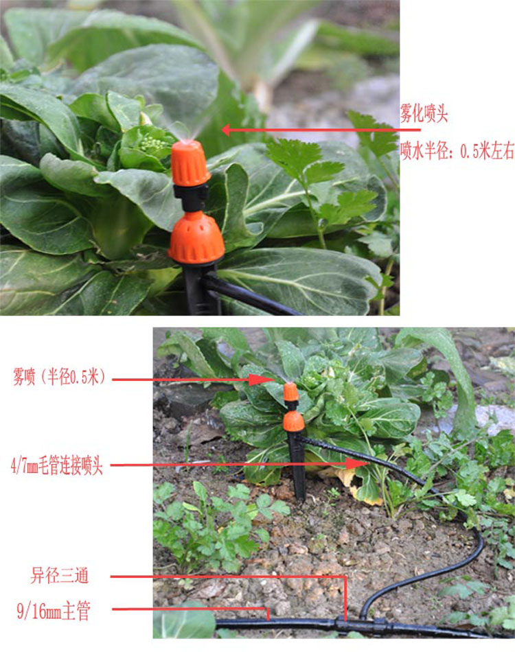 自动浇花器喷雾滴灌一体粗管家庭菜园阳台花盆淋水灌溉套装 滴灌 菜园 花盆 喷雾 灌溉 今日特惠 培训网 自动浇花器喷雾滴灌一体粗管家庭菜园阳台花盆淋水灌溉套装 滴灌 菜园 花盆 喷雾 灌溉 今日特惠 培训网