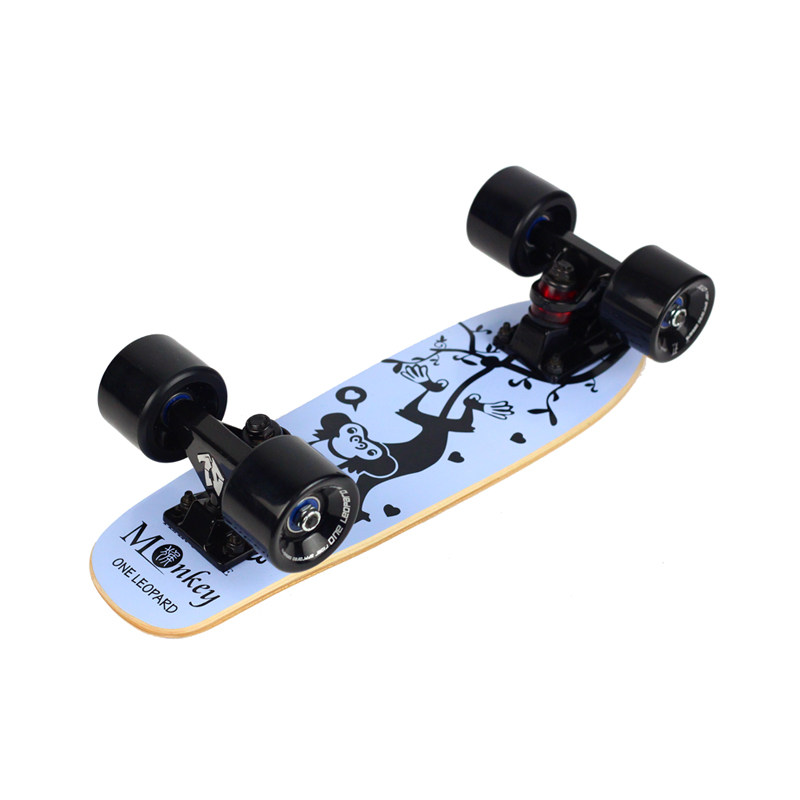 Skateboard pour homme femme enfant - Ref 2595582 Image 17