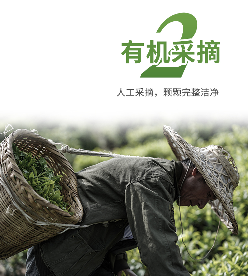 凤宁号 2022新茶 有机滇红茶2号 50g 券后9.9元包邮 值值值-买手聚集的地方