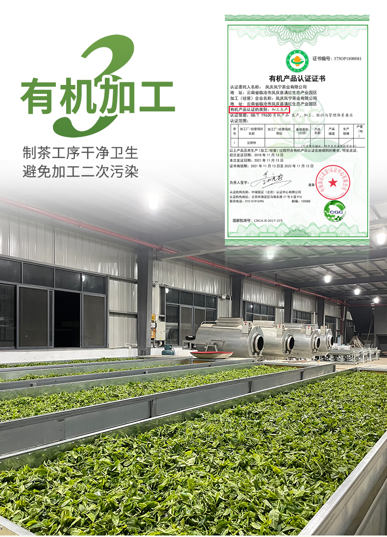 凤宁号 2022新茶 有机滇红茶2号 50g 券后9.9元包邮 值值值-买手聚集的地方